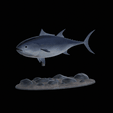 Bluefin-tuna-3.gif Atlantic bluefin tuna / Thunnus thynnus / Tuňák obecný  fish underwater statue detailed texture for 3d printing