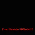 EinsteinFree.gif Free Albert Einstein caricature-pixelated evolution version 3d model (3 nos)