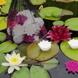 gif_cults_water_lily_smaller.gif Water Lilly Pond Filter Media
