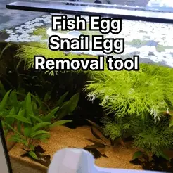 aquarium.gif Aquarium Egg Removal Tool Snail Fish Spawn Roe