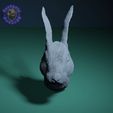 conejo.gif Файл STL Голова кролика・Шаблон для 3D-печати для загрузки