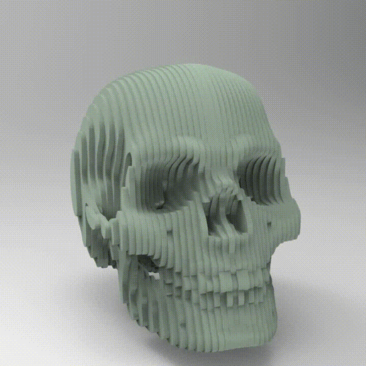 crâne-slice.gif Skull slice