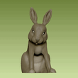 bunny-2.gif Little Rabbit