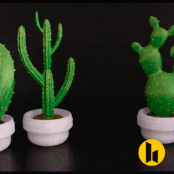 DSCF2717_CACTUS_INTRO.gif STL file Multiple Cactus Home Decor - No support needed・3D printing idea to download