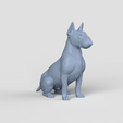 Bull-terier-sit.gif 3D Model STL  file  Bull Terrier Sit