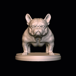 gif.gif STL file The exotic Frenchbulldog・3D printer design to download