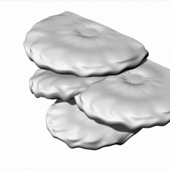 Oyster-Mushroom.gif Datei STL Austernpilz-Regal・Design für 3D-Drucker zum herunterladen
