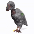 tinywow_VID_37327936.gif BIRD OF PREY TERROR HORROR DEMON DEVIL RAPTOR DINOSAUR WINGS FLYING PREHISTORIC CHARIZARD TERROR BIRD ANIMATED - BLENDER - 3DS MAX - CINEMA 4D - FBX - MAYA - UNITY - UNRE / EVIL / MONSTER Dinosaur