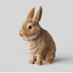 Bunny-Rabbit-Sitting-Pose.gif STL-Datei Kaninchen in sitzender Haltung- TOOLS ,GARDENING SERIES・3D-Druck-Idee zum Herunterladen, adamchai