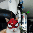 WhatsApp-Video-2024-09-25-at-19.45.55.gif SPINNENKATZE (SPIDERMAN)