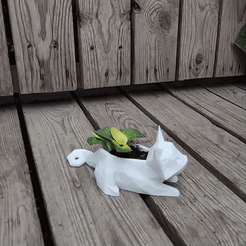 VID_20201028_143225.gif STL file LOW POLY CAT / KITTEN POT PLANTER・Design to download and 3D print, Prigle
