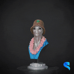 STEVE-WEBM-GIF-1.gif 3D file Alien Tourist Bust #1 - Steve・3D printing model to download