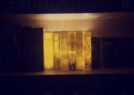 Snapchat-1209819970_1_1.gif Lithophane Books (The Stand)