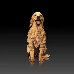 Golden-Retriever.gif Файл STL Золотистый ретривер - порода собак - канин - 3D PRINT MODEL・Модель для загрузки и 3D печати