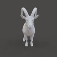 Ibex-Figurine.gif Фигурка горного козла