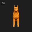 199-Belgian_Shepherd_Dog_Laekenois_Pose_01.gif Belgian Shepherd Dog Laekenois Dog 3D Print Model Pose 01