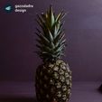 02.gif Ananas en tranches