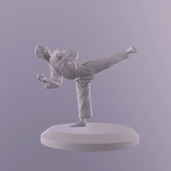 ezgif.com-gif-maker-94.gif Download OBJ file Karate Back Kick • 3D printable design, printinghub