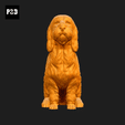 130-Basset_Griffon_Vendeen_Petit_Pose_04.gif Basset Griffon Vendeen Petit Dog 3D Print Model Pose 04
