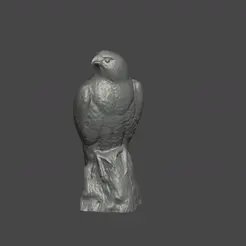 28795C86-1684-45D4-A7C9-D9AD22EE6607.gif Archivo STL halcón estatua arte animal・Plan de impresora 3D para descargar