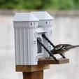VIDÉO-OISEAU-MANGEOIR.gif BIRD FEEDER & DRINKER & CUP