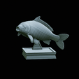 render-3.gif fish carp / Cyprinus carpio in motion trophy statue detailed texture for 3d printing