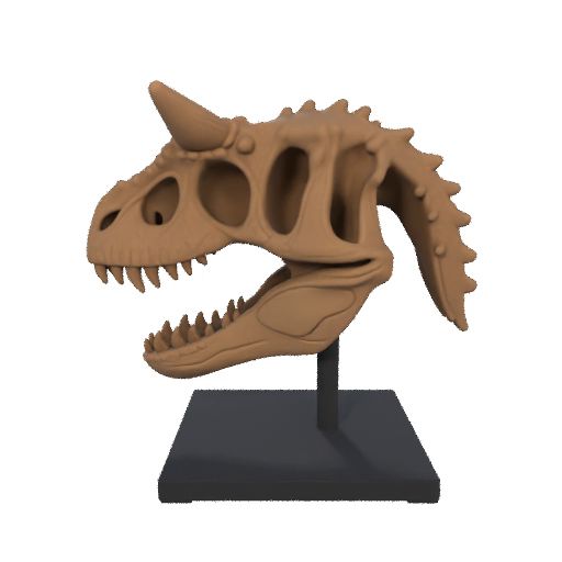 fd6849eaf1e97d0d1d38a039414c9558.mp4 Carnotaurus Skull in Base