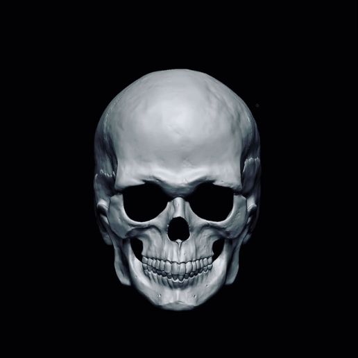 VID_54960617_115906_938.gif Реалистичная маска в виде черепа