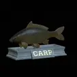 carp-statue-4.gif fish carp / Cyprinus carpio statue detailed texture for 3d printing