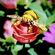 artybeeonaflower.gif TINY BUMBLE BEE, SMALL EASY TO PRINT, PRINT IN PLACE, NO SUPPORTS