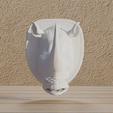 Trophée-Rhinocéros.gif Télécharger fichier Fichier : Animaux Trophée Rhinocéros au format numérique • Plan pour imprimante 3D, Mak3_Me_Studio