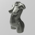 01.gif 3D file Bust of a pregnant woman・Design to download and 3D print