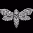 Video_1685200830.gif Death's Head Hawk Moth