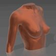 01.gif STL file Bust 01・3D printer model to download