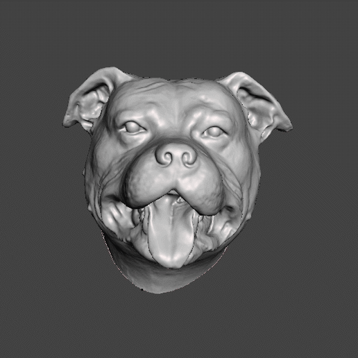 GIF.gif DOG HEAD STAFFORSHIRE BULL TERRIER STAFFY PITBULL DOG .obj .stl