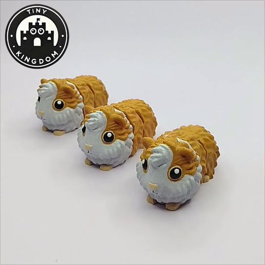 Flexi-Tiny-Cavia,-G1.mp4 Flexi Tiny Cavia, figurine articulée, porte-clés inclus, 3mf inclus