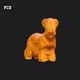 423-Cesky_Terrier_Pose_03.gif Cesky Terrier Dog 3D Print Model Pose 03