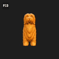 520-Coton_De_Tulear_Pose_01.gif Archivo STL Coton De Tulear Perro Impresión 3D Modelo Pose 01・Objeto para impresora 3D para descargar