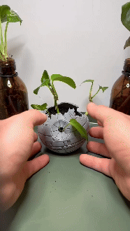 Star Wars Death Star Planter - 3D model önizlemesi