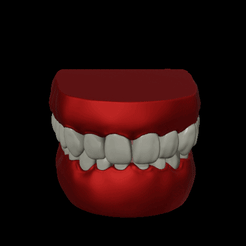 Ld Archivo STL gratis Modelo de entrenamiento de dientes dentales・Modelo para descargar y imprimir en 3D, Lammesky_Designs