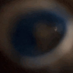 export_0.gif Accroche murale Krampus
