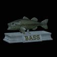 Bass-mount-statue-4.gif fish Largemouth Bass / Micropterus salmoides open mouth statue detailed texture for 3d printing