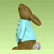 bunny-5.gif Tales of Peter Rabbit Bunny