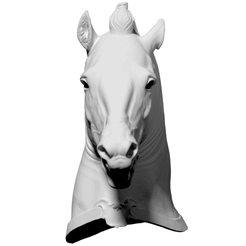 Horse1.gif Free OBJ file Horse Head (“Medici Riccardi” horse)・Template to download and 3D print