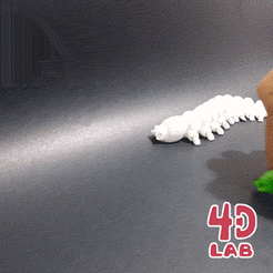 20220307_185558-maior.gif Free STL file Caterpillar (Flexi print-in-place)・3D print object to download, 4dLab