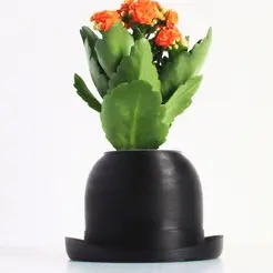 bowlerhatplanter.gif Bowler Hat Mini Plant Pot for Succulent&Cactus