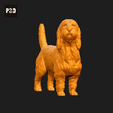 129-Basset_Griffon_Vendeen_Petit_Pose_03.gif Basset Griffon Vendeen Petit Dog 3D Print Model Pose 03
