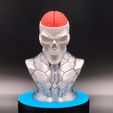 CraniumortisLowQualityGIF.gif Craniumortis - No AMS / Multi-Part Bust