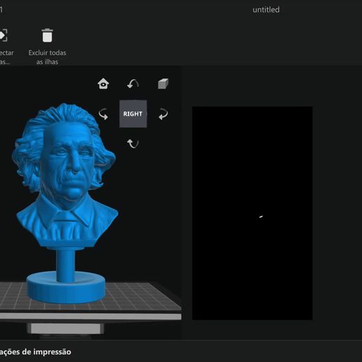 Gravando-2024-12-16-025854.mp4 Albert Einstein bust