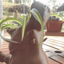 hipoGif.gif Archivo STL gratis Maceta Hipo, hipopotamo que se come tus plantas.#PLANTERSXCULTS・Modelo para descargar y imprimir en 3D